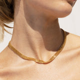 Aleesia Chain
